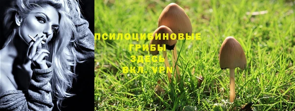 Альфа ПВП Киреевск