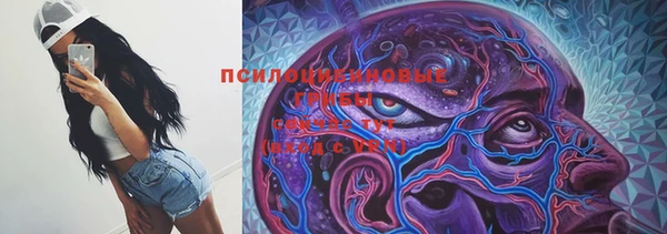 мяу мяу мука Козловка