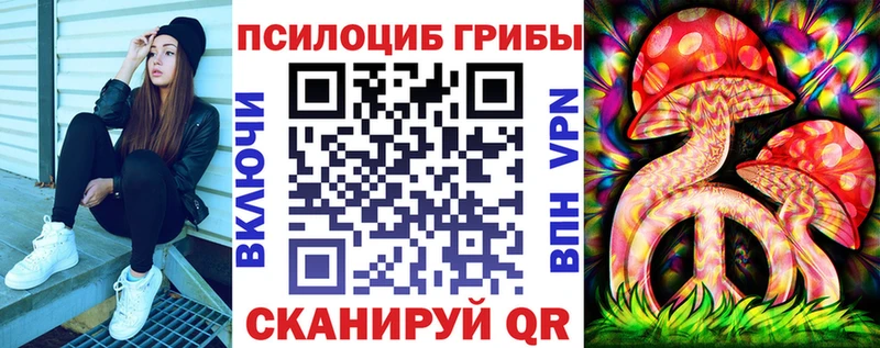 OMG онион Никольск Галлюциногенные грибы Cubensis купить закладку
